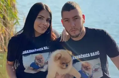 Odgajivacnica pomeranaca i pudli Pom hash stars Novi Sad