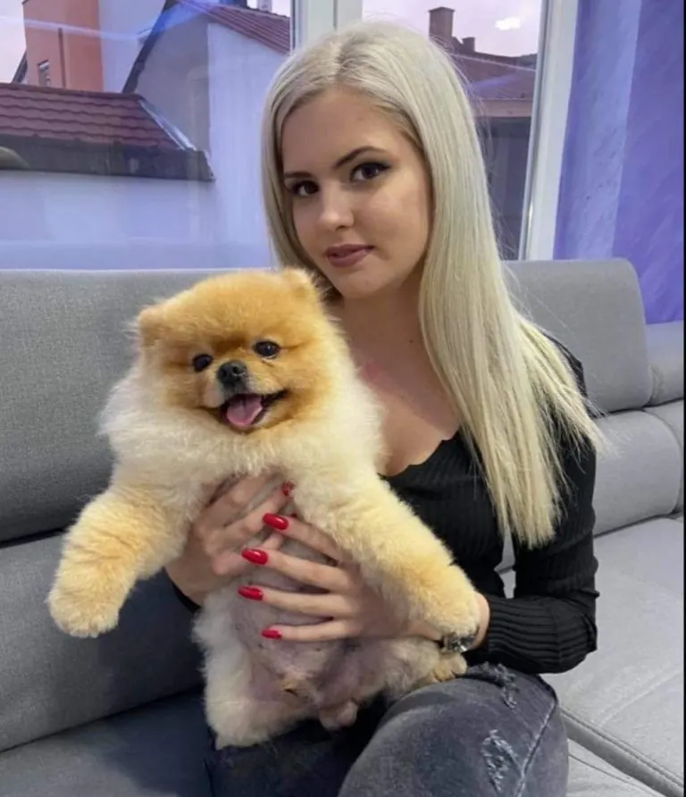 Pomeranac, Pom Hash Stars