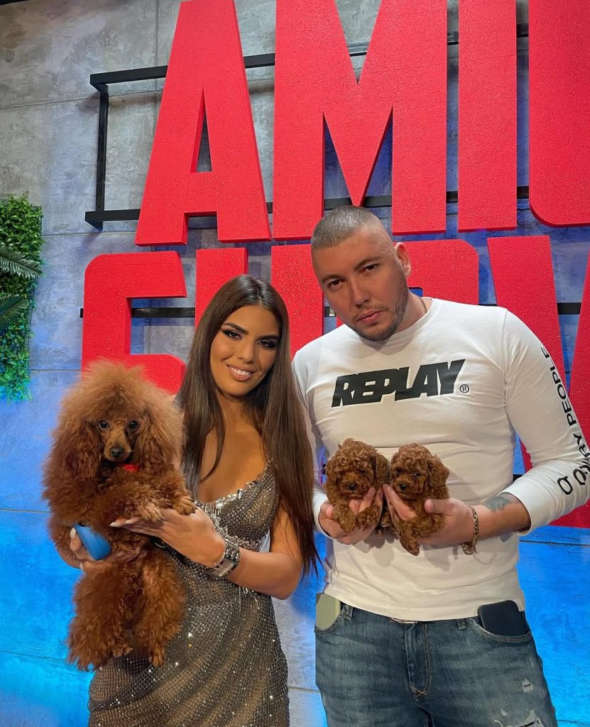 Odgajivacnica pomeranaca i pudli Pom Hash Stars Beograd