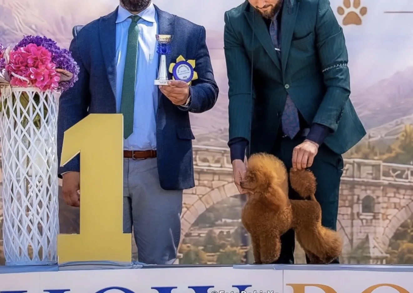 Thalia Pom Hash Stars, šampion Pom Hash Stars