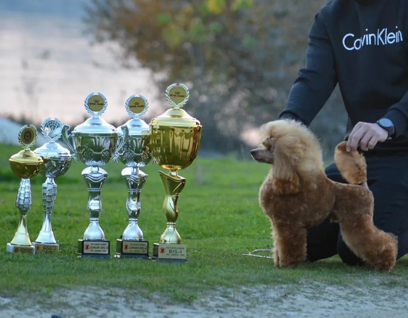 Zeppe Danzatori Minkar, šampion Pom Hash Stars